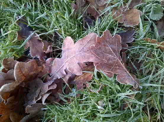 focussen-psycholoog-of-therapeut-amsterdam