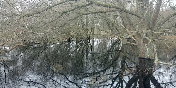 IJkpunt in verwerkingsproces