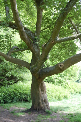 Middel: geborgenheid. Doel: draagkracht
