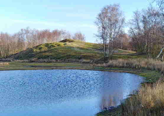 Professioneel en respectvol