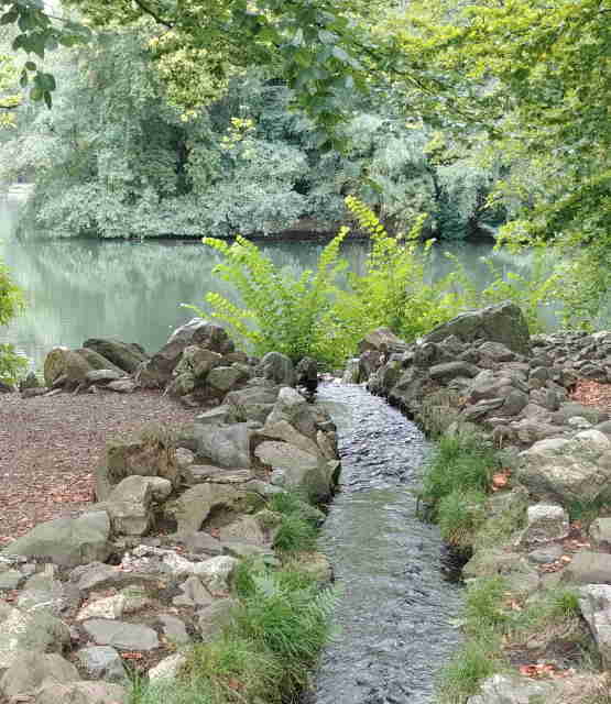 Onzekerheid, stress en loopbaan